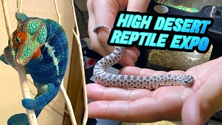 Attending the High Desert Reptile Show Dec 2022 [upl. by Yarahs]