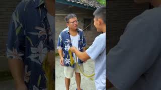 New comedy video 😂 shorts trending youtubeshorts video [upl. by Iblok]