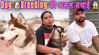 इस video के बाद हर कोई Dog breeding करना चाहे गा 🔥🐶 dog breeding [upl. by Wit]