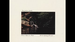 Roedelius  Das Eis bricht [upl. by Karil471]