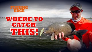 Fishing Edge episode  Sooty Grunter at Eungella Dam [upl. by Nove248]