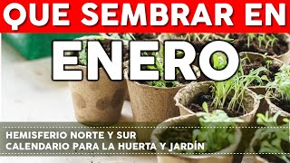 Calendario de Siembra 2023 Que sembrar en ENERO en el Huerto de Invierno y de Verano [upl. by Engeddi260]