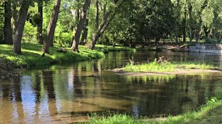 Relaxing Water Sounds Waterscape Sleep Music for Meditation Stress Relief by TTL Polska [upl. by Eugenle260]