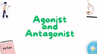 Agonists and Antagonist [upl. by Eskill]