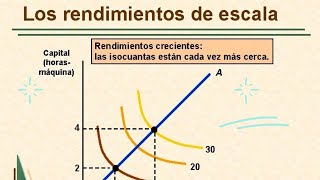 👨‍🏫Como Calcular los Rendimientos de Escala  Microeconomia 📊 [upl. by Lark]