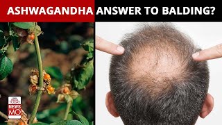 Can Ayurvedic Herb Ashwagandha Help in Boosting Your Hair Growth [upl. by Eninotna]