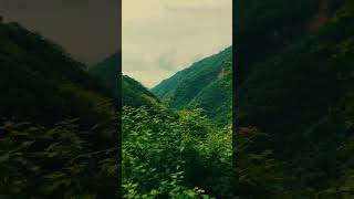 PLACES ON EARTH WITH THE GREENEST explore adventure nature youtubeshorts [upl. by Veradia]