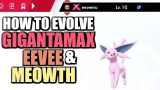 How to Evolve Special Gigantamax Eevee and Meowth in Pokemon Sword and Shield [upl. by Ellierim]