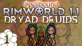 RimWorld Medieval  Dryad Druids  1  Meet our Dryad Ladies [upl. by Eniar]