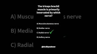 Triceps brachii muscle is primarily innervated by [upl. by Savitt]