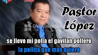 karaoke gavilan pollero pastor lopez demo [upl. by Fadil]