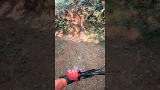 I think this is a cow trail mtblife colombia [upl. by Norda]