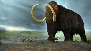 The Woolly Mammoth 5 Facts You Won’t Believe [upl. by Zelikow589]