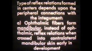 1940s Lab Experiment Roger W Sperry  Caltech [upl. by Agosto]