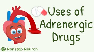 Uses of Adrenergic Drugs  Sympathomimetic Drugs Pharmacology  Adrenaline Noradrenaline etc [upl. by Rammus]