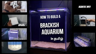 Brackish water aquarium setup in tamil [upl. by Edmund]