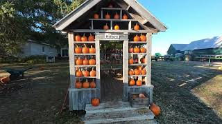 Millers Farm Corn Maze and Pumpkins [upl. by Namaj]