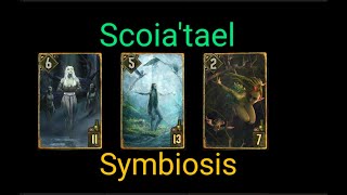 scoiatael symbiosis devotion vs nilfgaard enslave ProRank Gwent Card Game2410240919 [upl. by Ainimreh932]