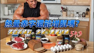 熱量平衡、進食時機、重量訓練，如何影響肌肉合成與分解【補充】 [upl. by Torr744]