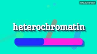 HETEROCHROMATIN  HOW TO PRONOUNCE IT [upl. by Ttoille400]