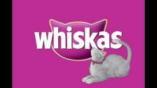 WHISKAS Animated spot Gary Q [upl. by Sibel]