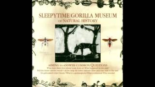 Sleepytime Gorilla Museum  Phthisis [upl. by Olav]