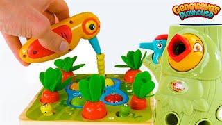 Best Toy Learning Video for Toddlers and Kids  Learn Colors and Counting in the Garden [upl. by Niemad]