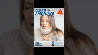 3 productos que no debes mezclar con cloro 🚫 [upl. by Dygert]