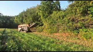 Field edge clearing South of Brimfield IL [upl. by Nikolos815]