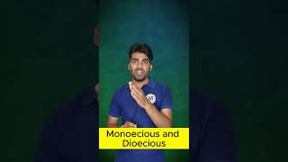 Monoecious And Dioecious Plants neet neet2024 aiims [upl. by Nohsal531]