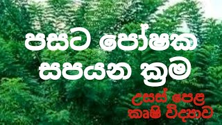 පසට පෝෂක සපයන ක්‍රම​ ALAgriculturalScience [upl. by Ashlan]