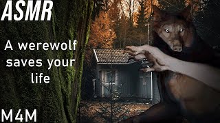 ASMR M4M  A werewolf saves your life [upl. by Zolnay]