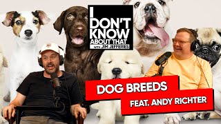 We dont deserve dogs feat Andy Richter  I Dont Know About That with Jim Jefferies 199 [upl. by Haramat925]