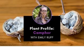 Plant Profile Camphor with Emily [upl. by Anwahsal]