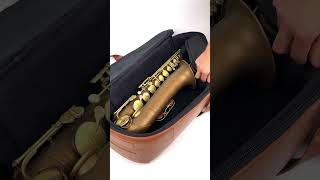 Tenor Saxophone Gig Bag Detroit Leather [upl. by Nnyroc299]