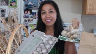 How to Store Garlic [upl. by Kari]