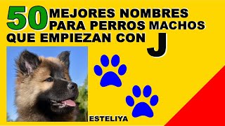 NOMBRES PARA PERROS MACHOS CON J [upl. by Nallad]