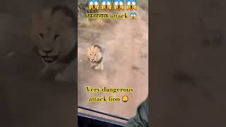 खतरनाक attack very dangerous Accident lion 🦁 subscribe viralvideo 😱😯😱animals dekhne time kaise saf [upl. by Aciretehs802]