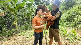 Take care of pets grow more vegetables to improve daily meals  lythiduyen [upl. by Derfla]