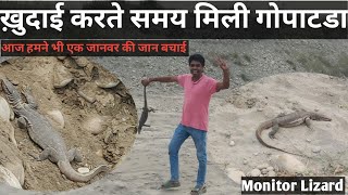 Monitor Lizard  Amit Saved The Life Of animal monitor lizard [upl. by Aniraad]