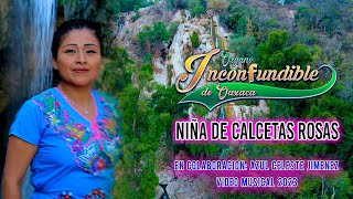 NIÑA DE CALCETAS ROSAS│ORGANO INCONFUNDIBLE DE OAXACA│VIDEO MUSICAL 2023 [upl. by Marr881]