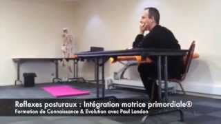 Extrait de formation  Réflexes posturaux chez lenfant [upl. by Dett]