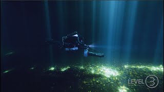 Incredible Cenotes of Mexico  Liberty diving adventure [upl. by Garber]