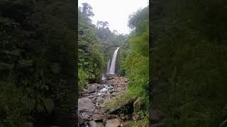 Wonderful Indonesia nature berandayoutube subscribe [upl. by Way265]