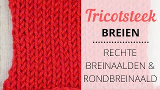 Tricotsteek breien  Op rechte breinaalden amp tricotsteek rondbreien [upl. by Aniluap]