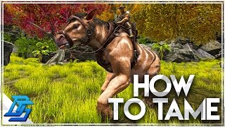 How To Tame A Chalicotherium  Ark Survival Evolved [upl. by Ainsworth169]