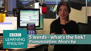 Alices pronunciation challenge [upl. by Pembrook]