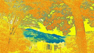 PHOTOArt 2  PAQEES  27 videoart photo photography caracas art park tree arboles cityview [upl. by Otsuj]