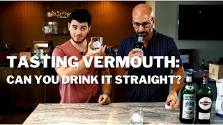 Trying Vermouth Can you drink it straight amp what is it really for [upl. by Tenej]