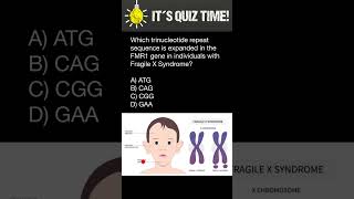 Which trinucleotide repeat sequence is expanded in the FMR1 gene in people with Fragile X Syndrome [upl. by Gault]